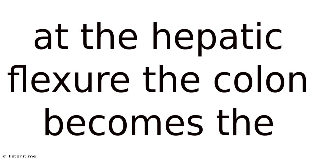 At The Hepatic Flexure The Colon Becomes The