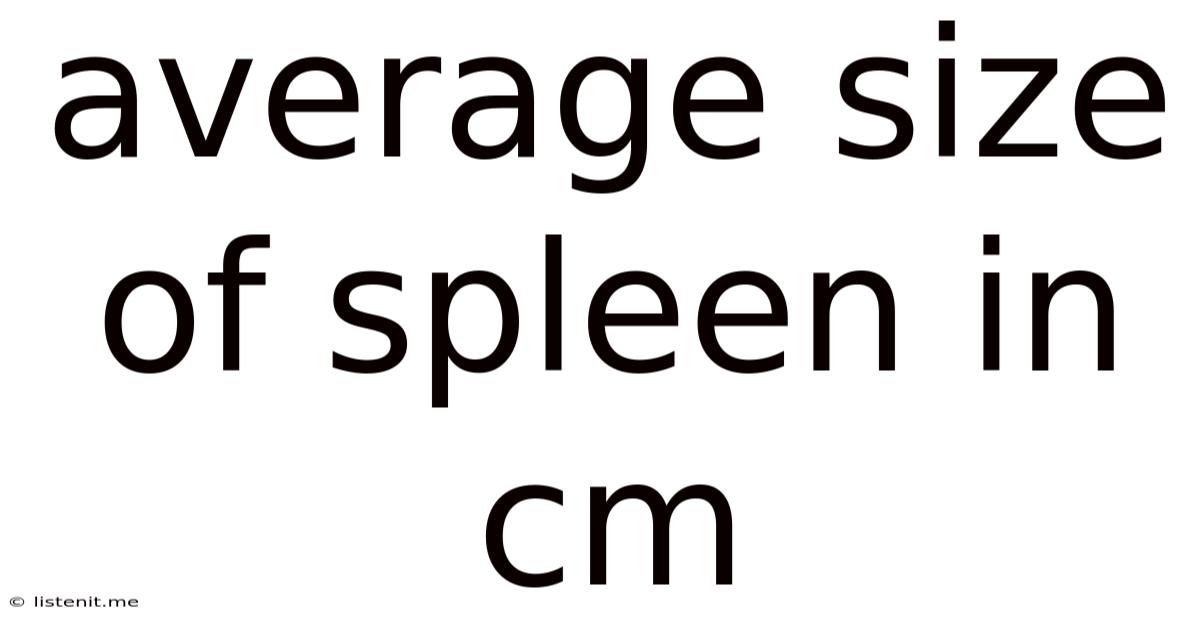 Average Size Of Spleen In Cm