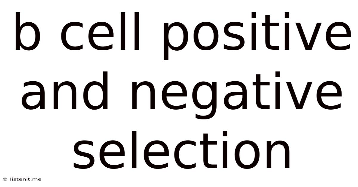 B Cell Positive And Negative Selection
