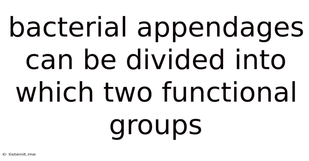 Bacterial Appendages Can Be Divided Into Which Two Functional Groups