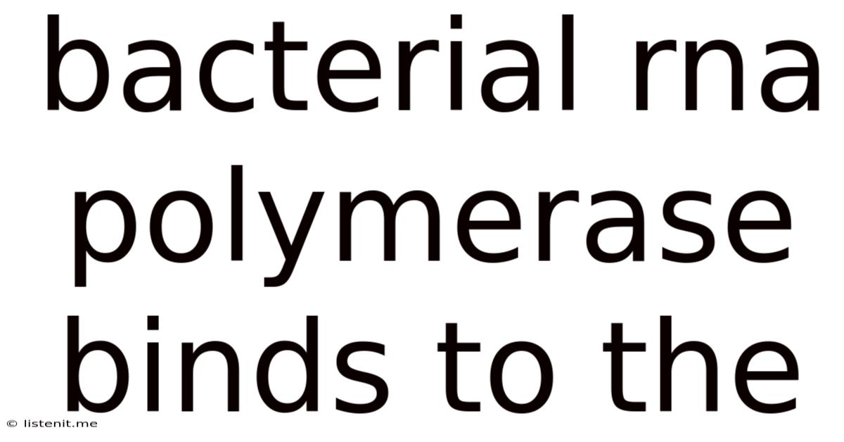 Bacterial Rna Polymerase Binds To The