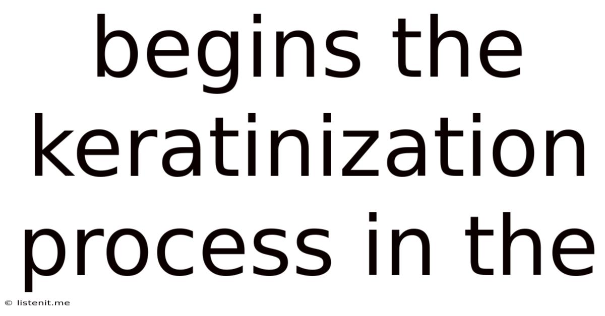 Begins The Keratinization Process In The