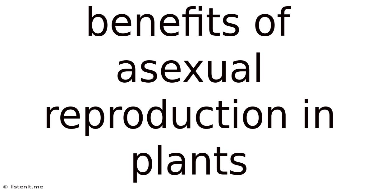 Benefits Of Asexual Reproduction In Plants