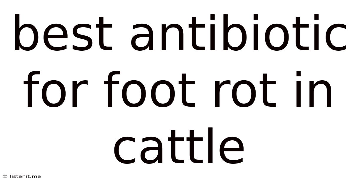 Best Antibiotic For Foot Rot In Cattle
