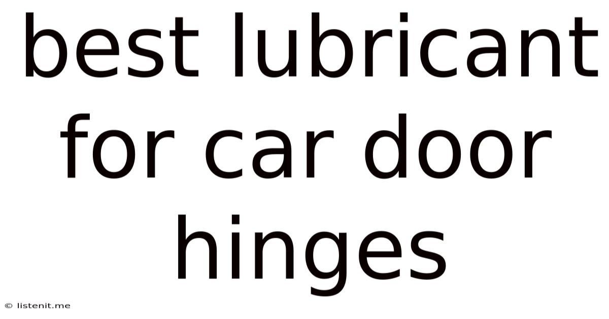 Best Lubricant For Car Door Hinges