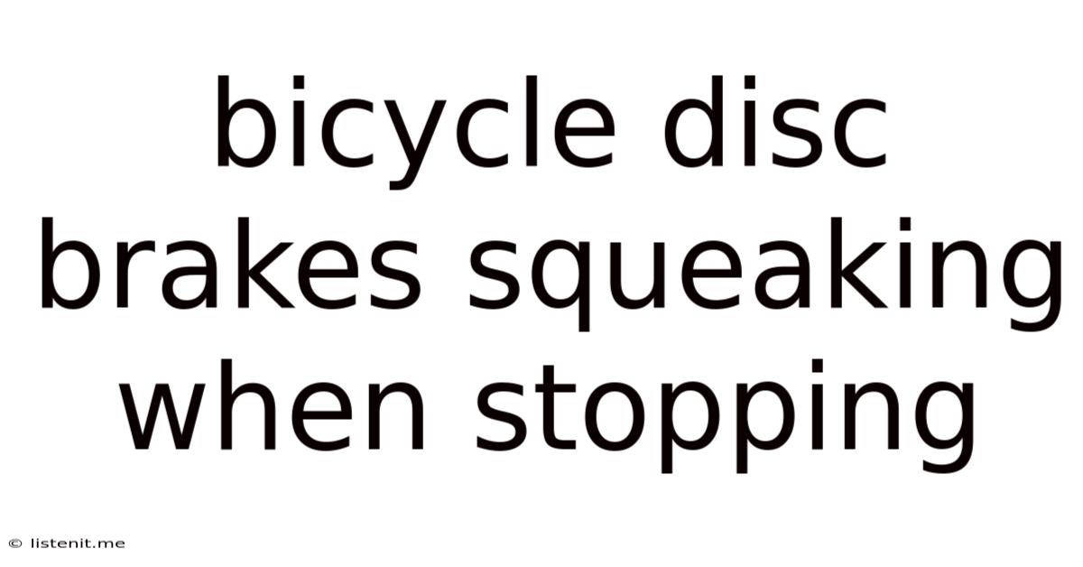 Bicycle Disc Brakes Squeaking When Stopping