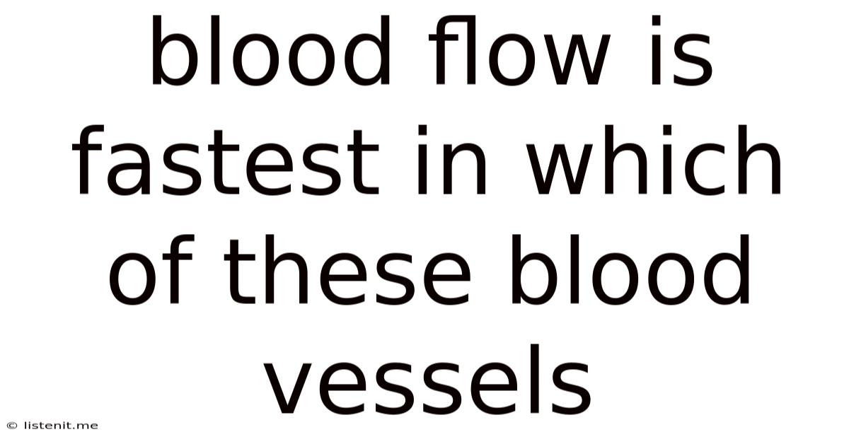 Blood Flow Is Fastest In Which Of These Blood Vessels