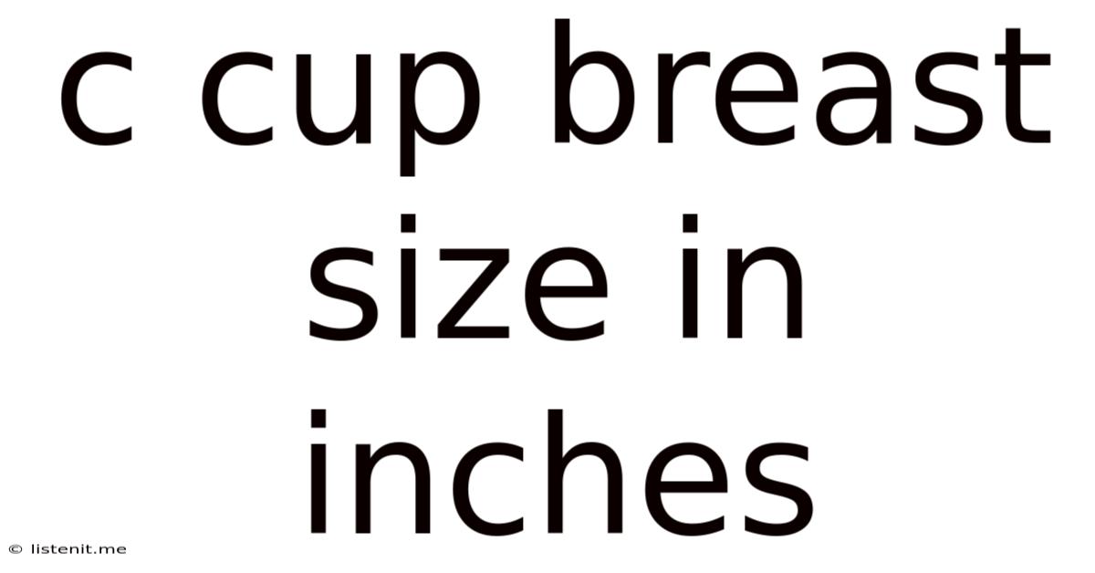 C Cup Breast Size In Inches
