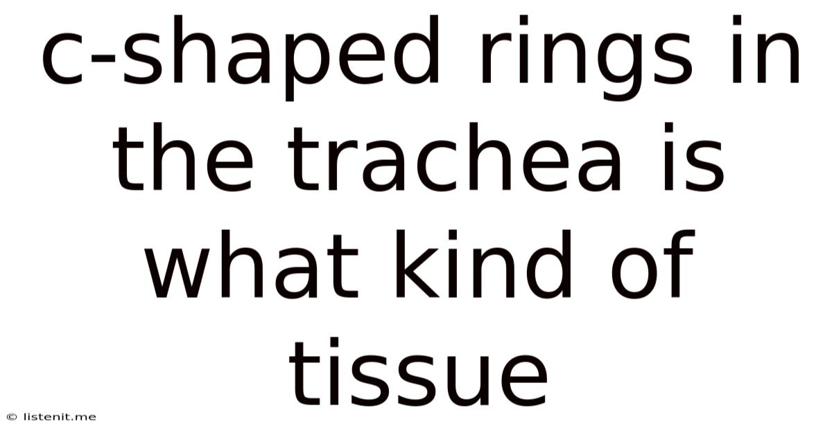 C-shaped Rings In The Trachea Is What Kind Of Tissue
