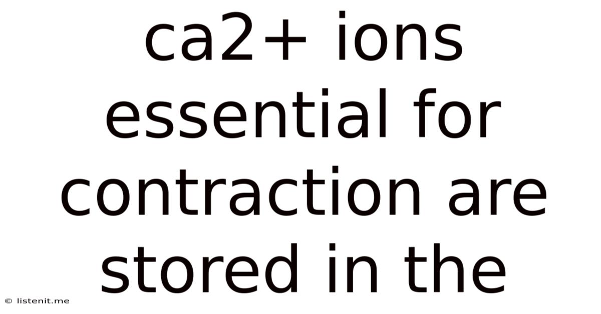Ca2+ Ions Essential For Contraction Are Stored In The