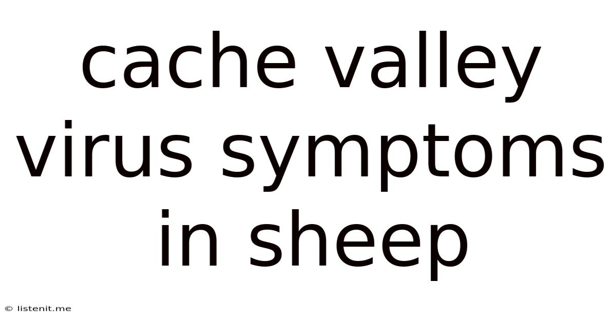 Cache Valley Virus Symptoms In Sheep