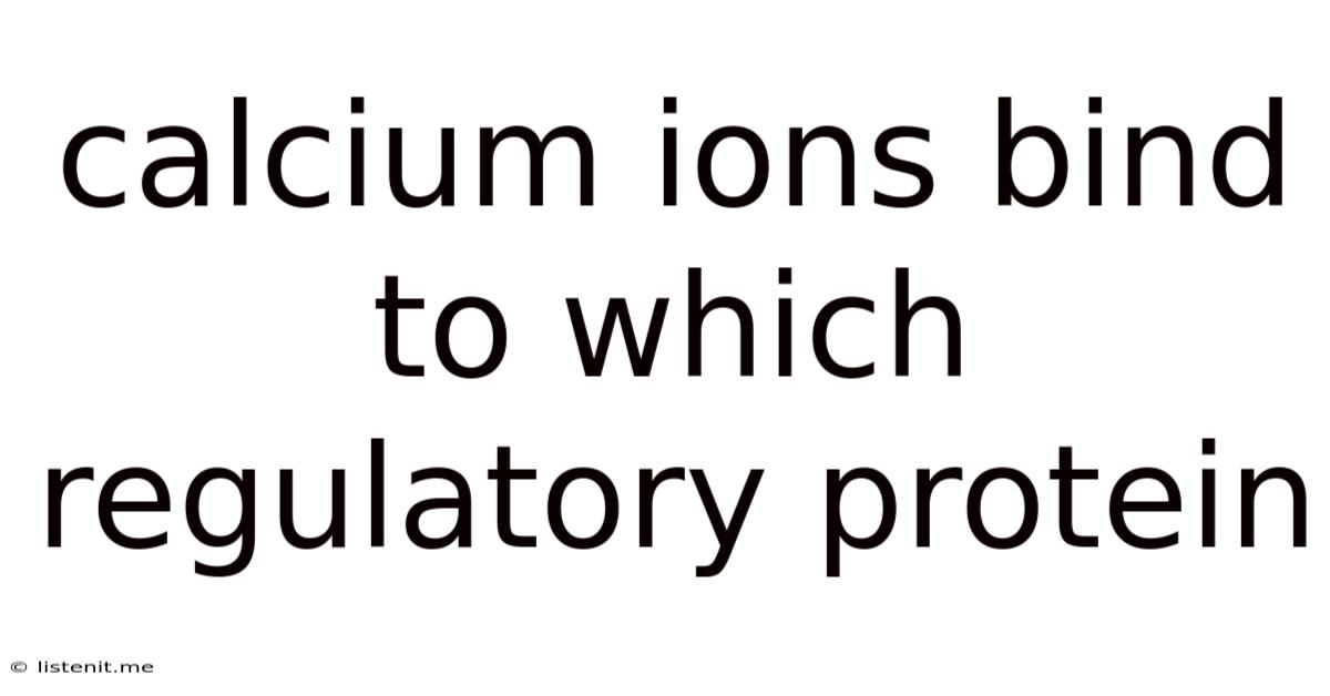 Calcium Ions Bind To Which Regulatory Protein