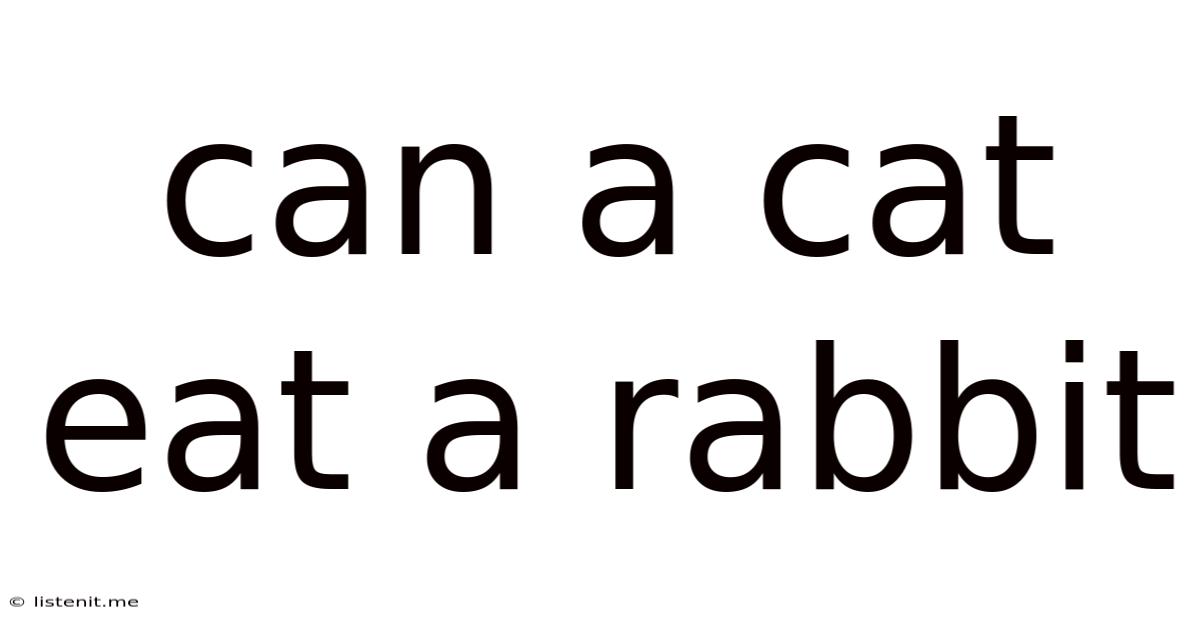 Can A Cat Eat A Rabbit
