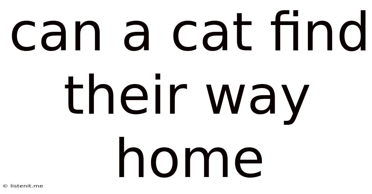 Can A Cat Find Their Way Home