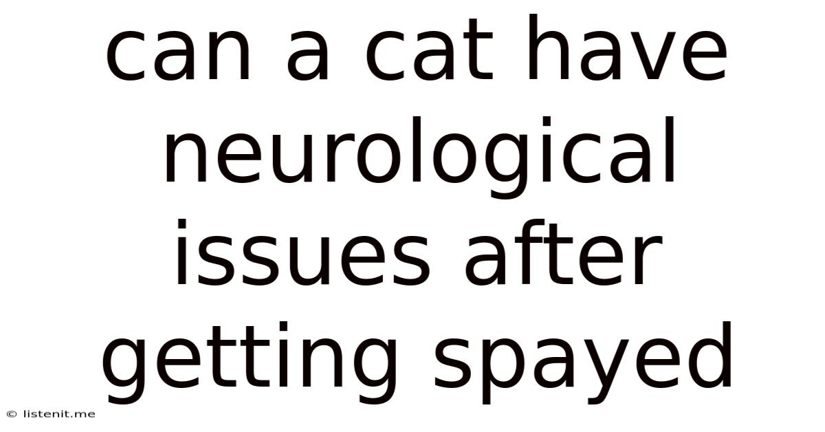Can A Cat Have Neurological Issues After Getting Spayed