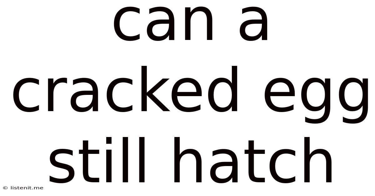 Can A Cracked Egg Still Hatch