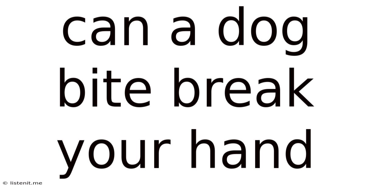 Can A Dog Bite Break Your Hand