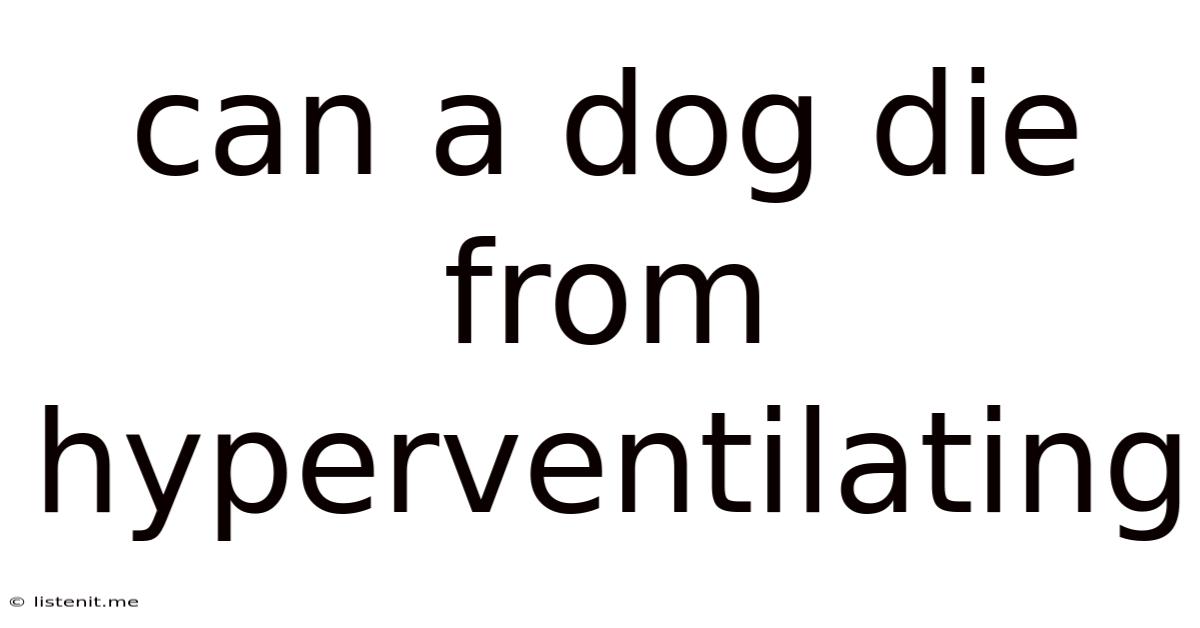 Can A Dog Die From Hyperventilating