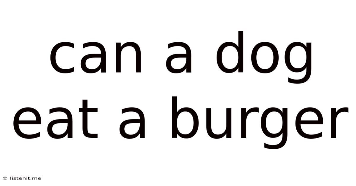 Can A Dog Eat A Burger