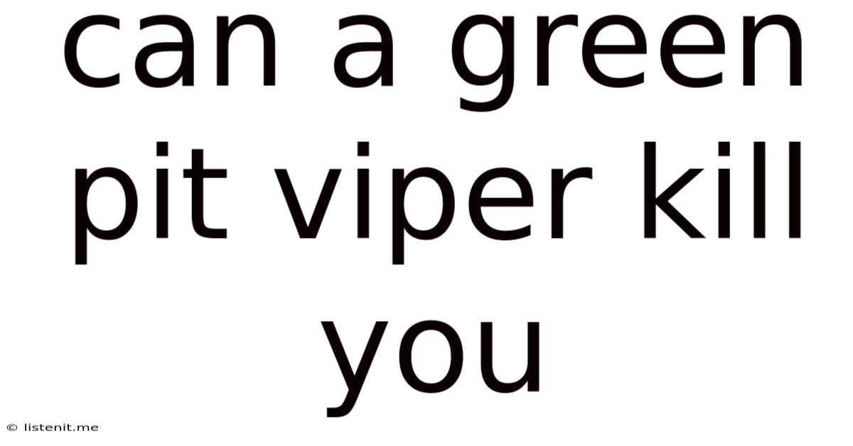 Can A Green Pit Viper Kill You