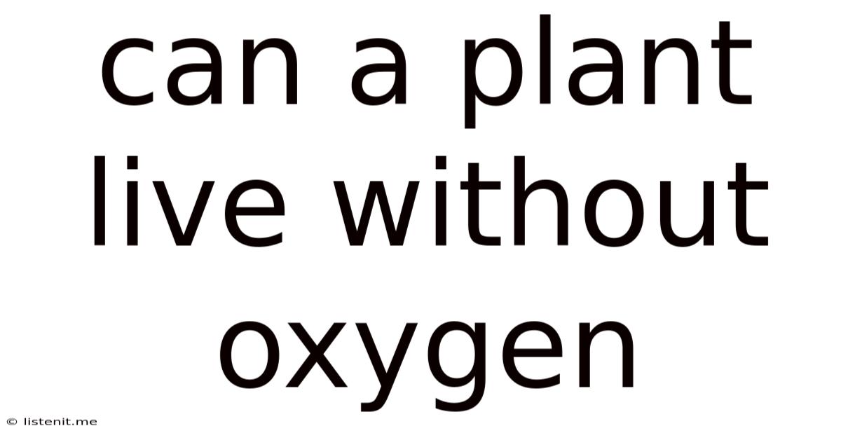 Can A Plant Live Without Oxygen