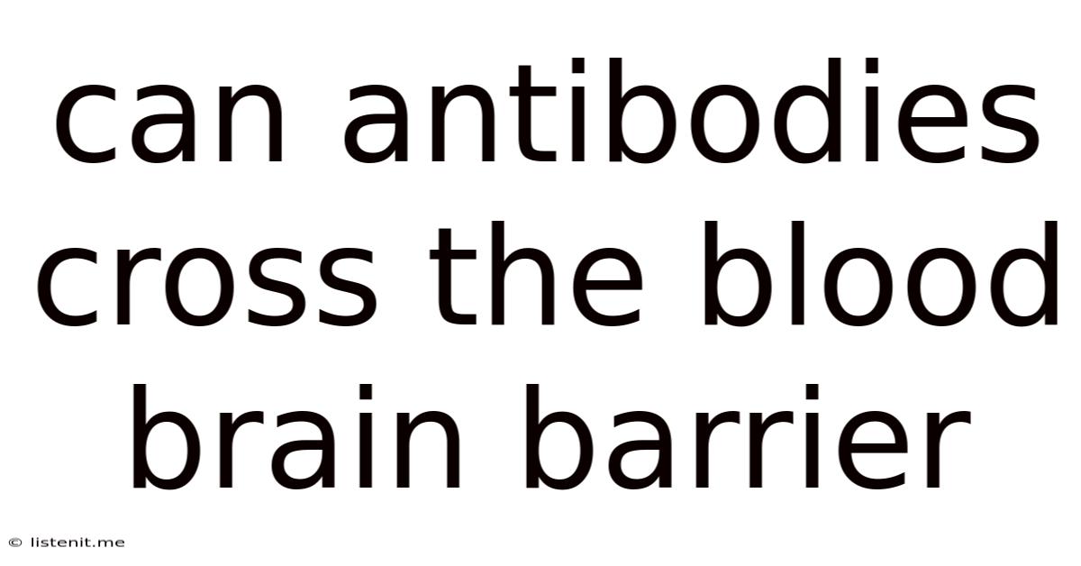 Can Antibodies Cross The Blood Brain Barrier