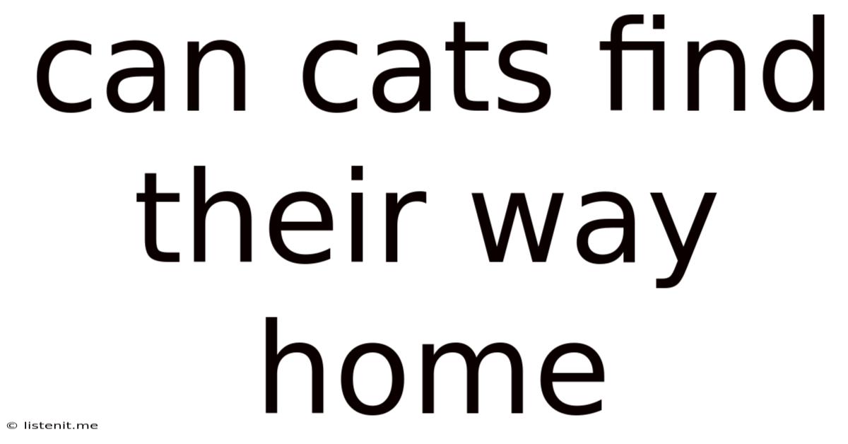Can Cats Find Their Way Home