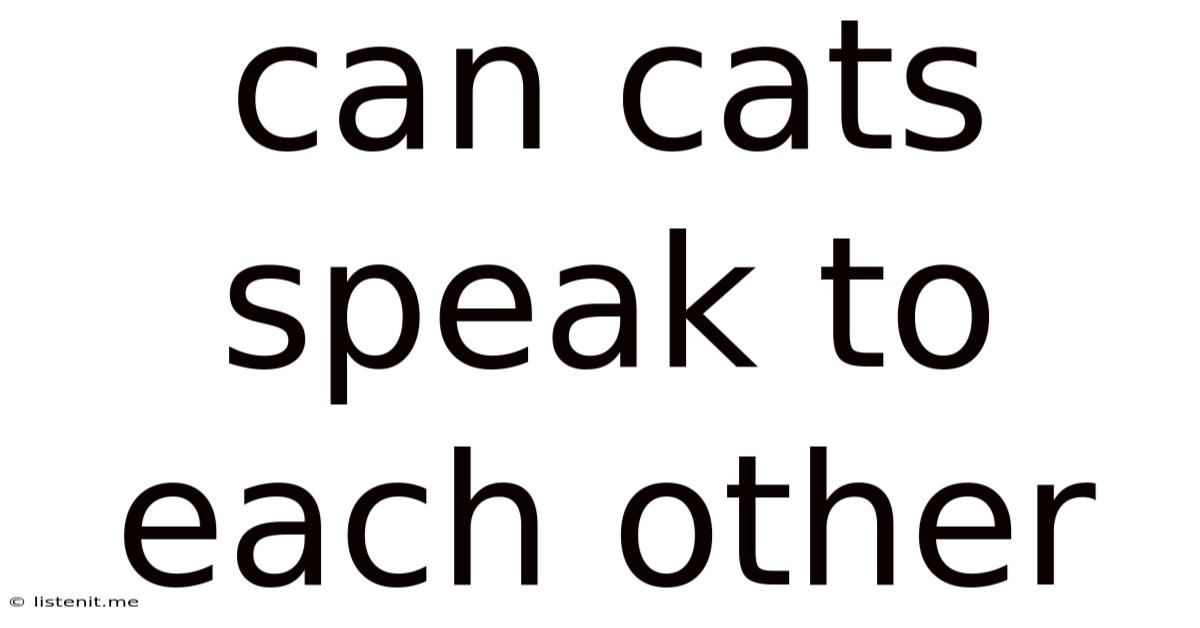 Can Cats Speak To Each Other