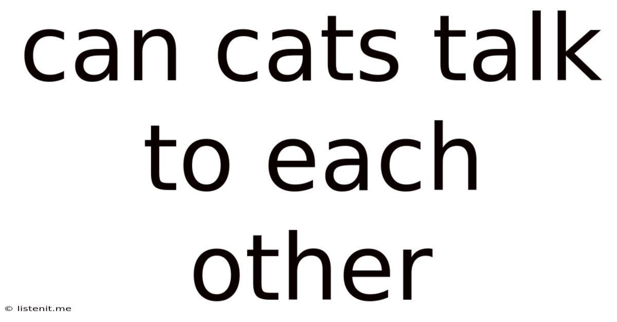 Can Cats Talk To Each Other