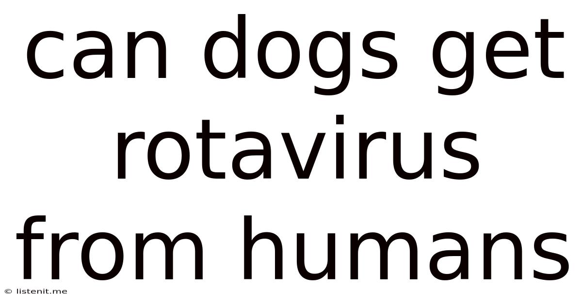 Can Dogs Get Rotavirus From Humans
