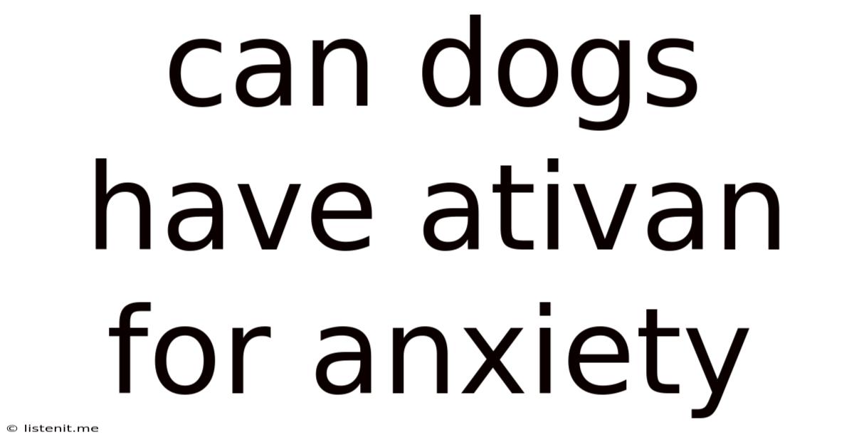 Can Dogs Have Ativan For Anxiety