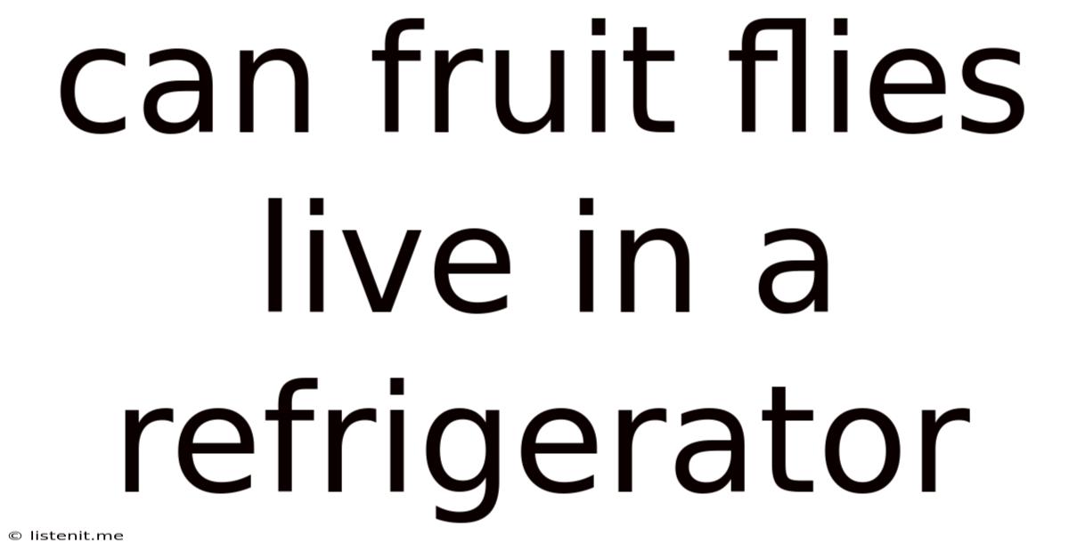 Can Fruit Flies Live In A Refrigerator
