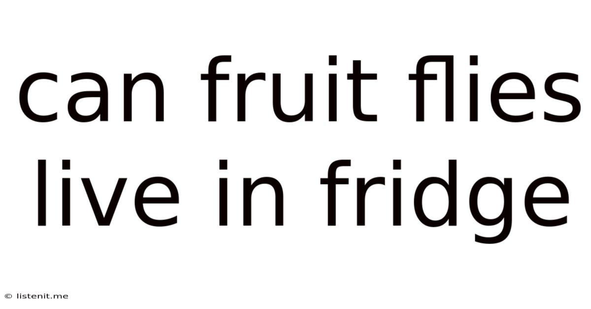 Can Fruit Flies Live In Fridge