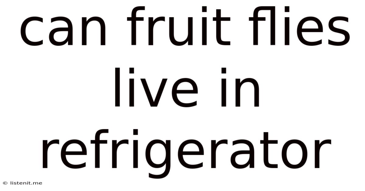 Can Fruit Flies Live In Refrigerator