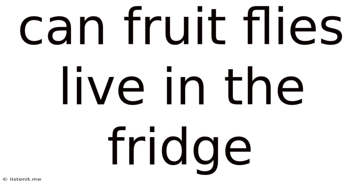 Can Fruit Flies Live In The Fridge