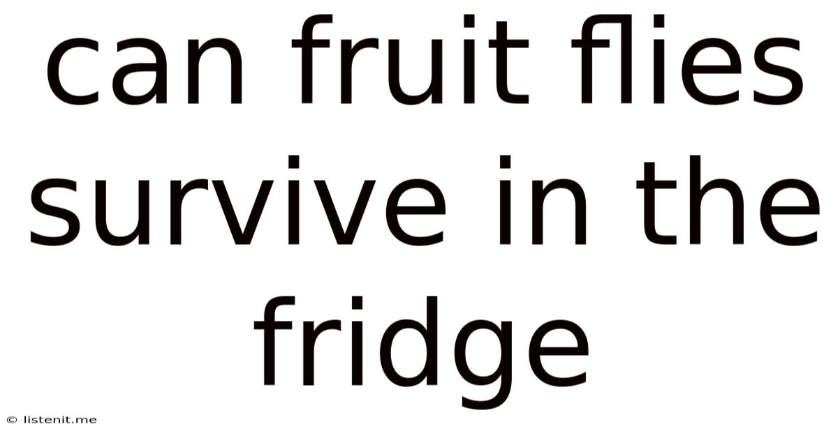 Can Fruit Flies Survive In The Fridge