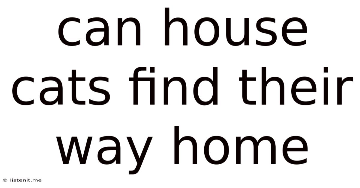 Can House Cats Find Their Way Home