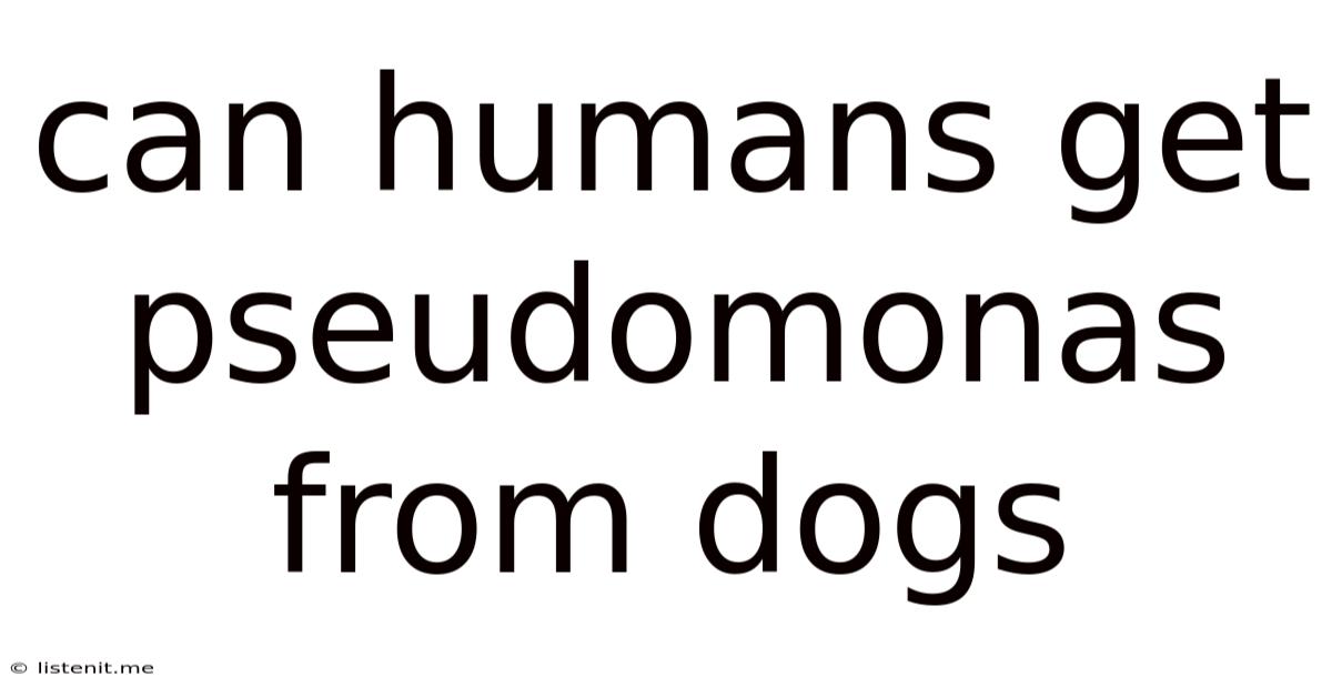 Can Humans Get Pseudomonas From Dogs