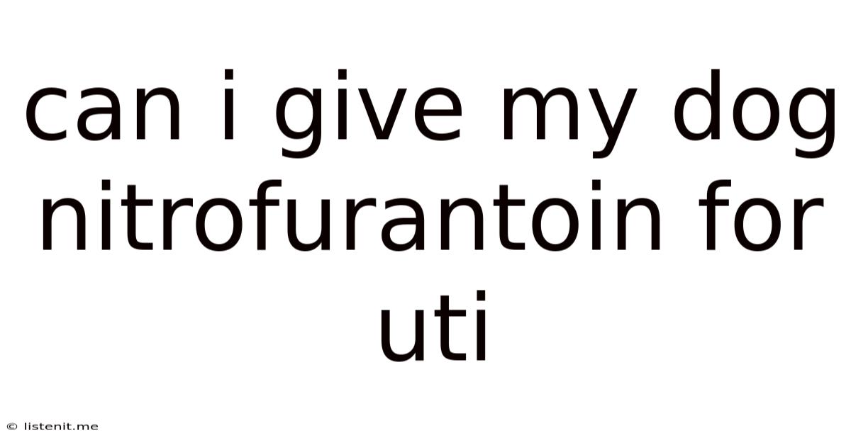 Can I Give My Dog Nitrofurantoin For Uti