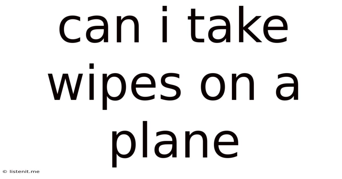Can I Take Wipes On A Plane