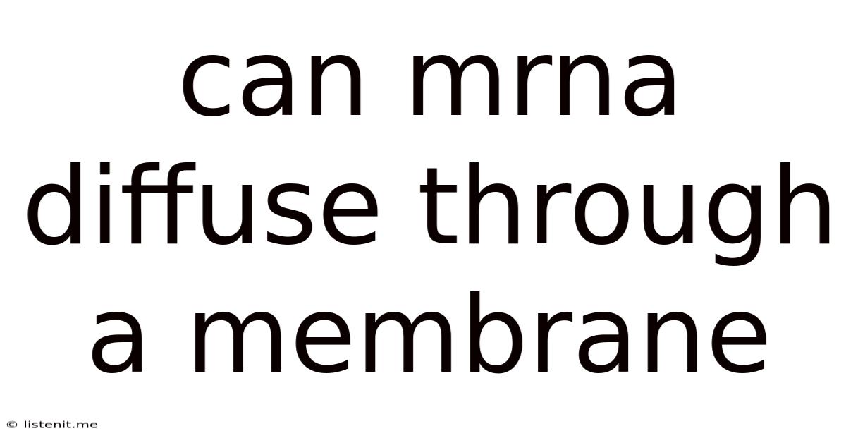 Can Mrna Diffuse Through A Membrane