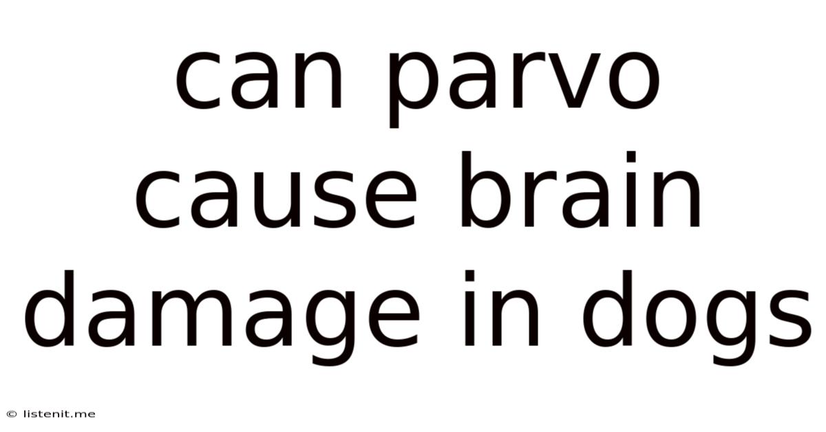 Can Parvo Cause Brain Damage In Dogs