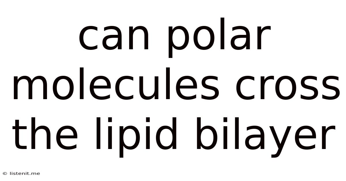 Can Polar Molecules Cross The Lipid Bilayer