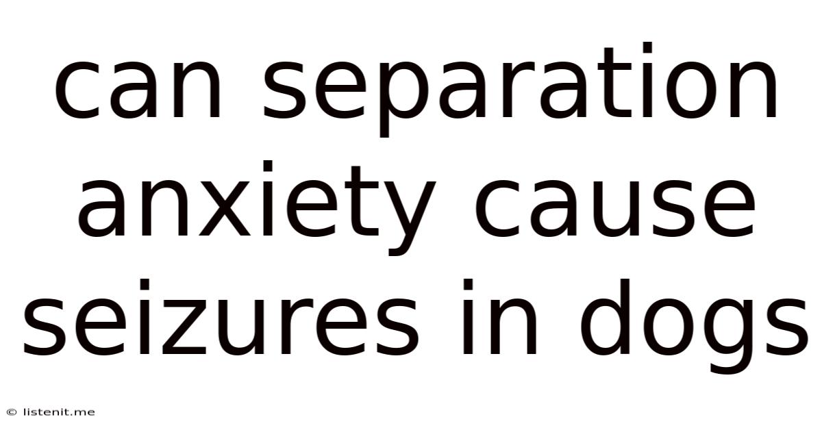 Can Separation Anxiety Cause Seizures In Dogs