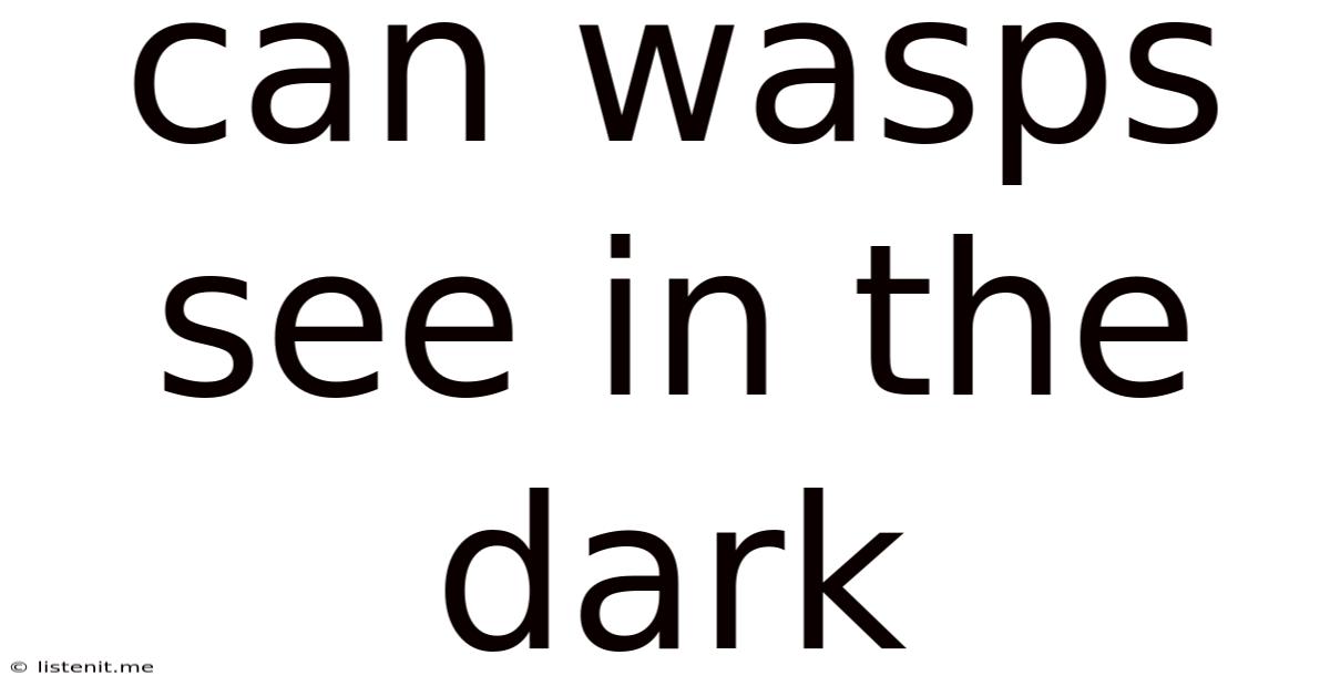 Can Wasps See In The Dark
