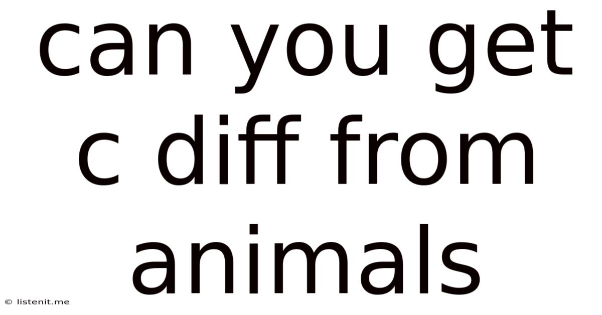 Can You Get C Diff From Animals