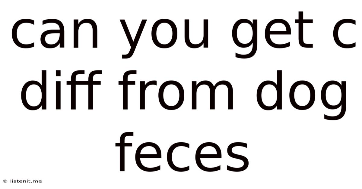 Can You Get C Diff From Dog Feces