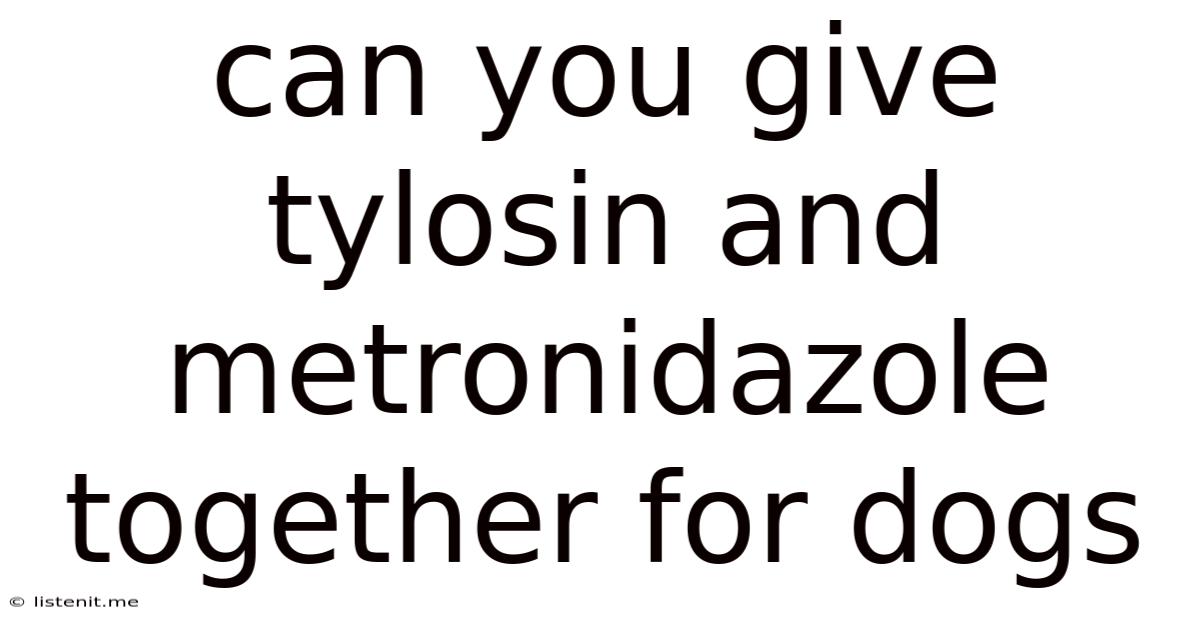 Can You Give Tylosin And Metronidazole Together For Dogs