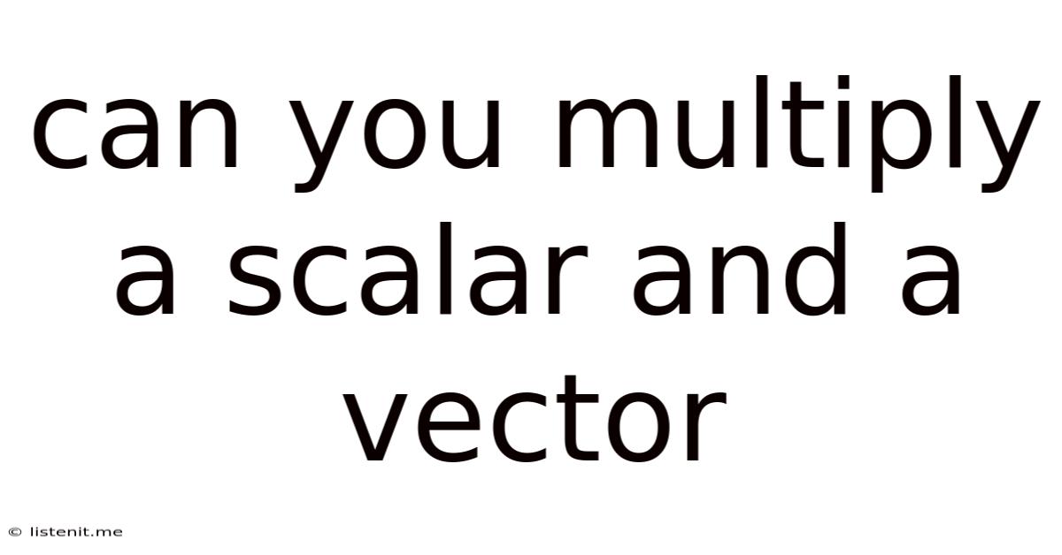 Can You Multiply A Scalar And A Vector