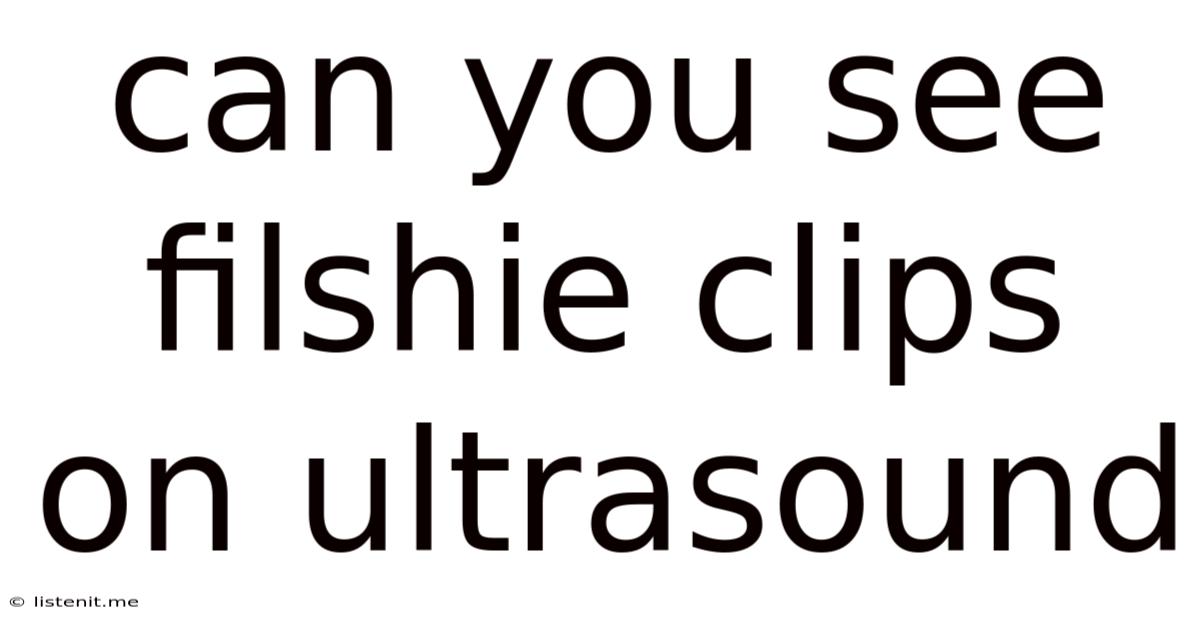 Can You See Filshie Clips On Ultrasound